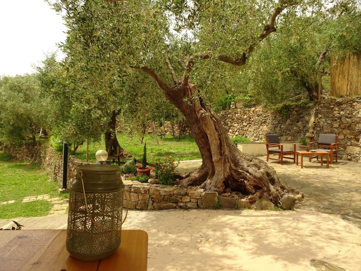 דירות אימפריה Le Casasse מראה חיצוני תמונה