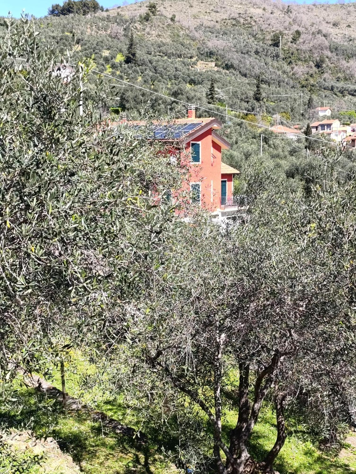 דירות אימפריה Le Casasse מראה חיצוני תמונה